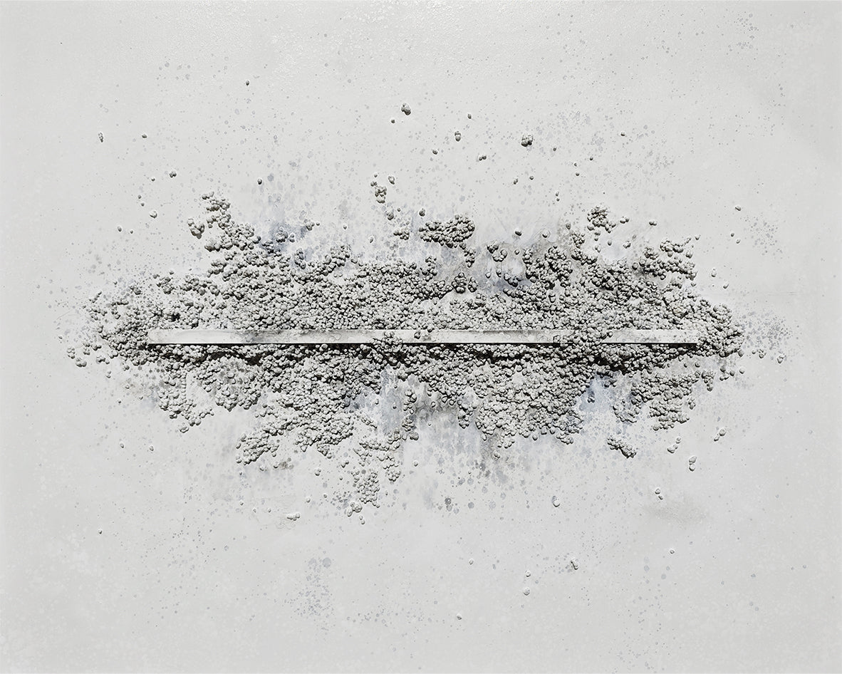 Ligne Claire Canvas Artwork