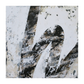 Arvento Canvas Artwork — Without Frame