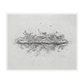 Ligne Claire Canvas Artwork – White