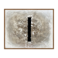 Obvion Canvas Artwork – Walnut