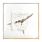 Revelation Canvas Artwork – Oak