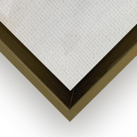Golden Formelle frame